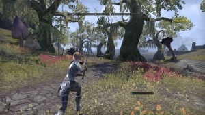 The Elder Scrolls Online: Tamriel Unlimited_20150623164743